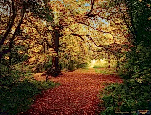 Alternative view of Komar Poster 80 8-068