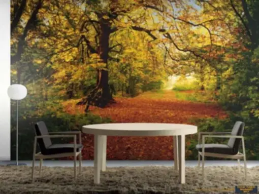 Komar Poster 80 8-068