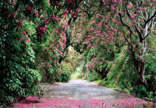 Alternative view of Komar Poster 89 8-985