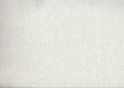 Seela Boyanabilir- 6554 Duvar Kağıdı 25m²