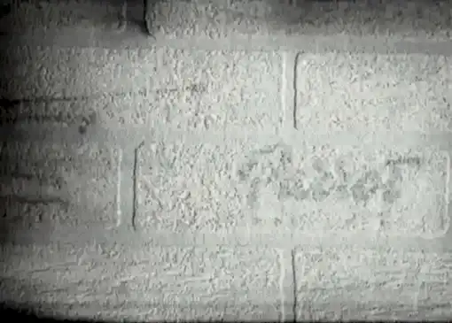 Seela Boyanabilir- 8401 Duvar Kağıdı 25m²