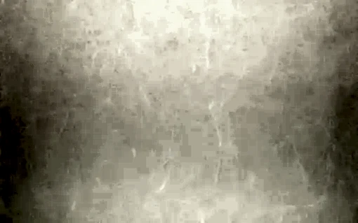 Som Mira 43443-1 Duvar Kağıdı Kırık Beyaz Kendinden Desenli