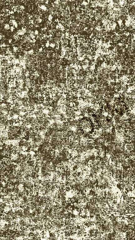 Wallcloth1 20401 / 1-8 Otel Duvar Kağıdı