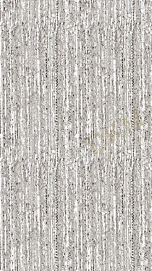 Wallcloth2 30601 / 10-1 Otel Duvar Kağıdı
