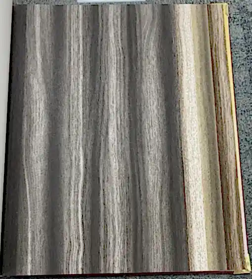 Ankawall Vision 2405-1 Duvar Kağıdı