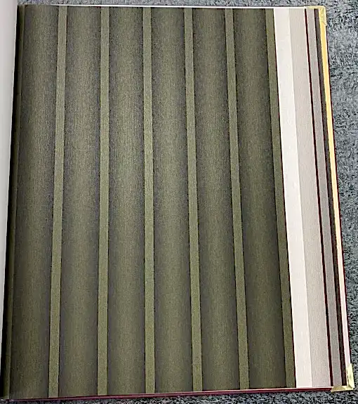 Ankawall Vision 2407-1 Duvar Kağıdı