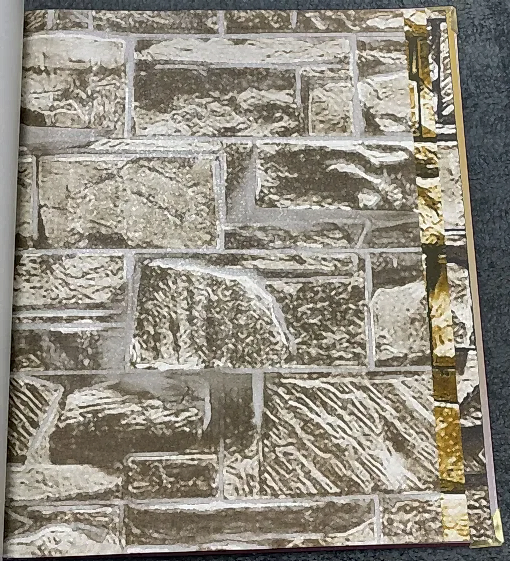 Ankawall Vision 2410-1 Duvar Kağıdı