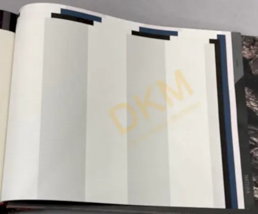 Ravena Selection Vol 3 382284-1 Duvar Kağıdı