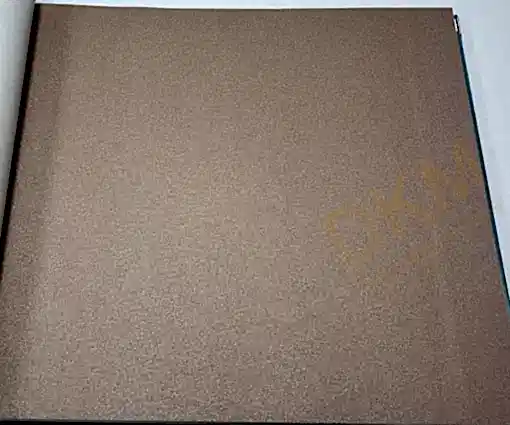 Asperia JF12- JF1213 İthal Duvar Kağıdı 5m²