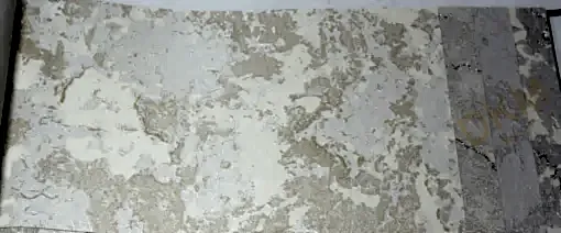 Barberry 303- 303041 İthal Duvar Kağıdı 16m²