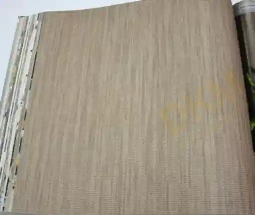 Papro Hit Vol2 19005-5 Duvar Kağıdı 16m²