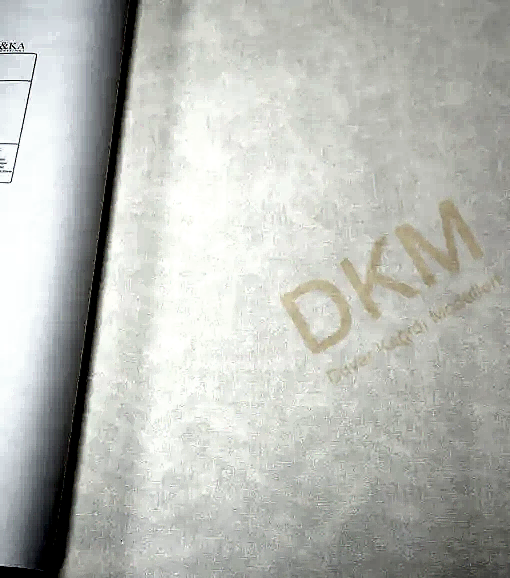 Duka Voyage dk.29310-1 Duvar Kağıdı 10m²