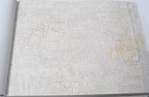 Seela Arkitekt Plus 9015-1 Duvar Kağıdı 16m²