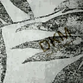 Alternative view of AdaWall Hue Yaprak 24208-2 Duvar Kağıdı 16m²