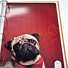 Scandatex Drops S6503 Boyanabilir Cam Tekstili 30m² Seri Sonu