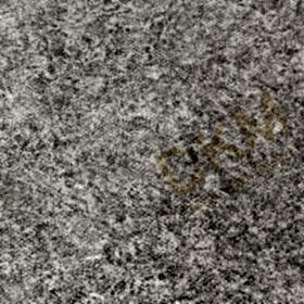 Alternative view of İthal Casa Chic C17-1 z20132 Eskitme kumaş Duvar Kağıdı 5m²