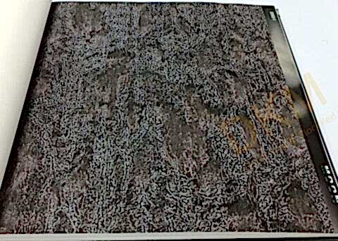 Ottimo Moon 2002-1 Duvar Kağıdı 16m²