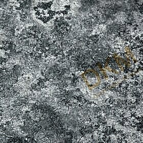 Alternative view of Ravena Rising 202405-4 Tek renk alacalı Duvar Kağıdı 16m²