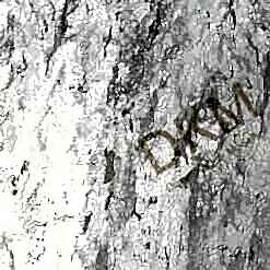 Alternative view of Duka Ambiance Life dk.16123-1 Parlak maden Duvar Kağıdı 16m²